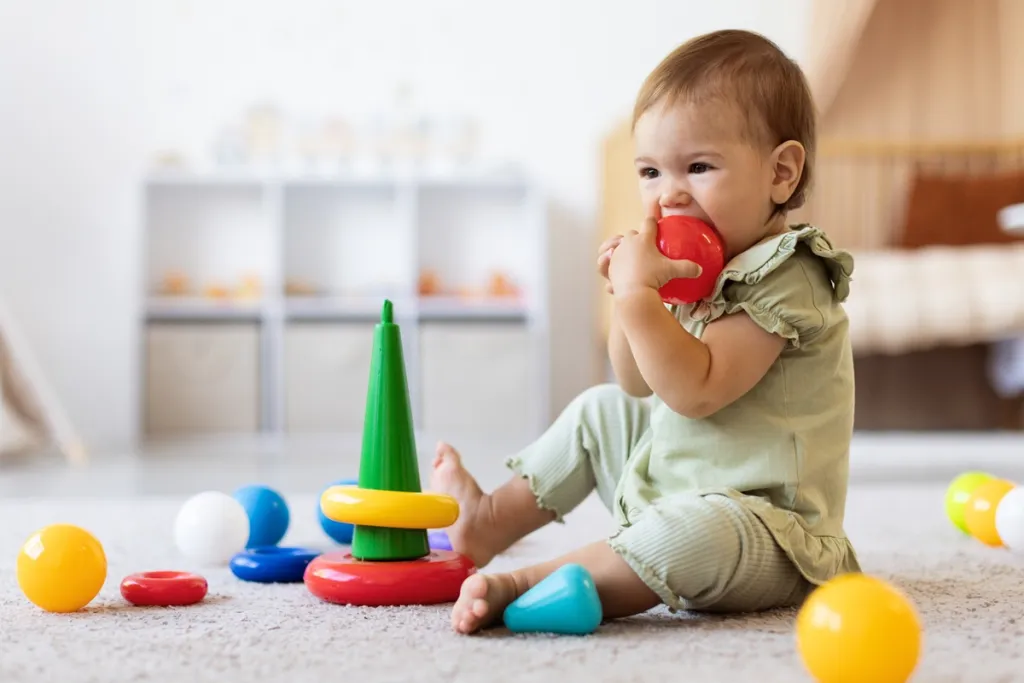Shutterstock 2711622285 1024x683